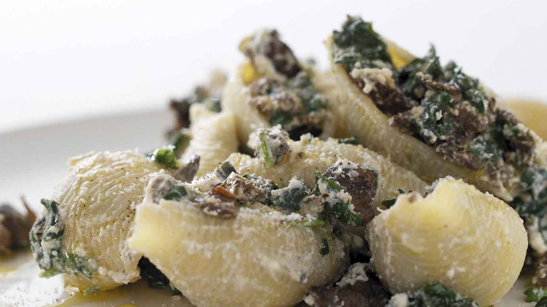 Conchiglioni del Lucchese